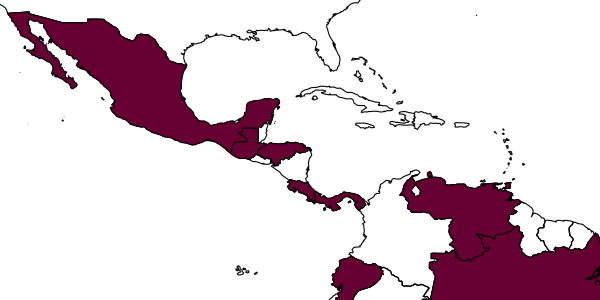 map of Aphelopus tropicalis     Olmi, 1984